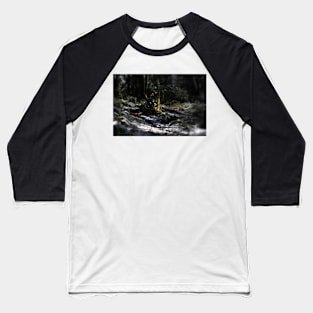 snowy Oregon forest 9 Baseball T-Shirt